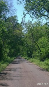East TX road